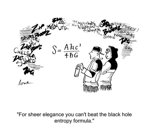'For sheer elegance you can't beat the black hole entropy formula.'