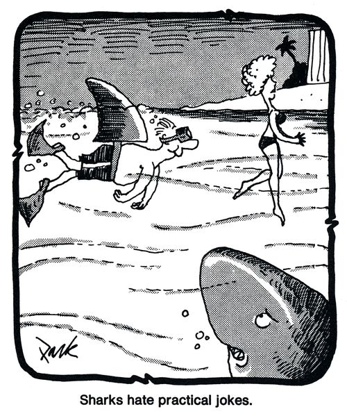 Sharks hate practical jokes.