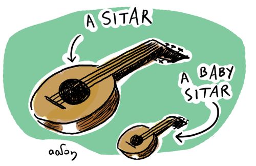 A Sitar. A Baby Sitar.