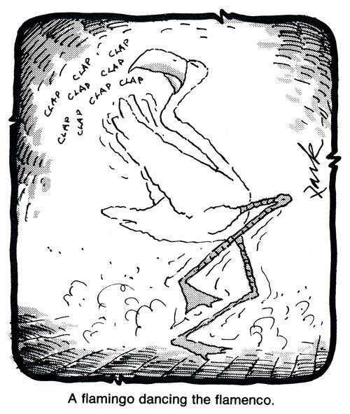 A flamingo dancing the flamenco.