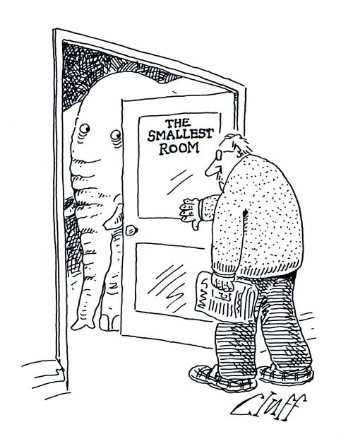 The Smallest Room.