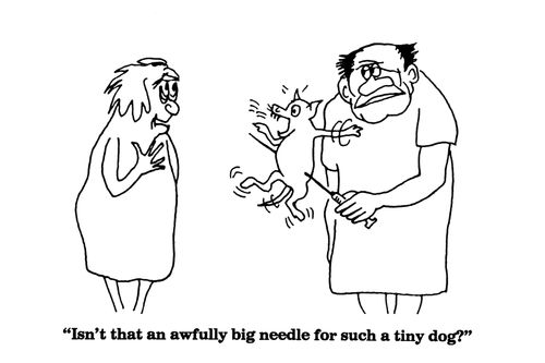 'Isn't that an awful big needle for such a tiny dog?'
