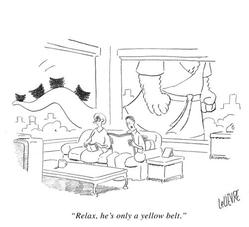 'Relax, he's only a yellow belt.'