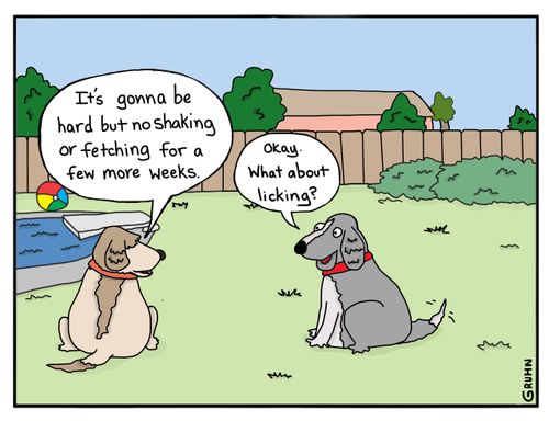 "It's gonna be hard but no more shaking and fetching for a few weeks."