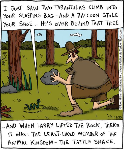 . . . And when Larry lifted the rock, there it was, the least liked member of the animal kingdom - the Tattle Snake.