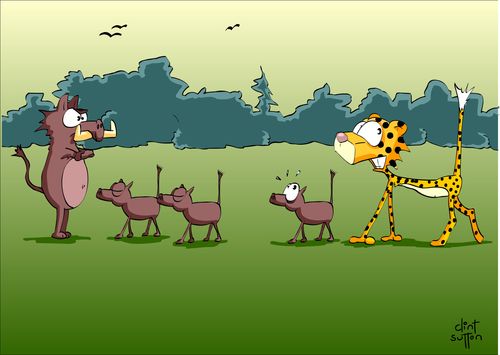 Marmalade the Cheetah following baby Warthogs.