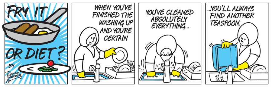 'When you've finished the washing up and you're certain you've cleaned absolutely everything... you'll always find another teaspoon.'