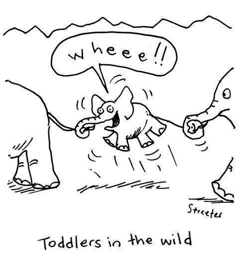 Toddlers in the Wild.