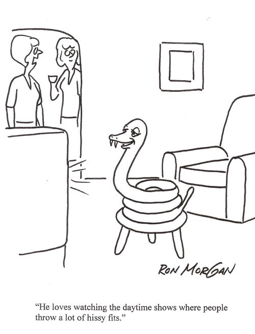 "He loves watching daytime shows where people throw a lot of hissy fits."