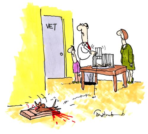 Mouse in vets escaping and getting caught in mousetrap.