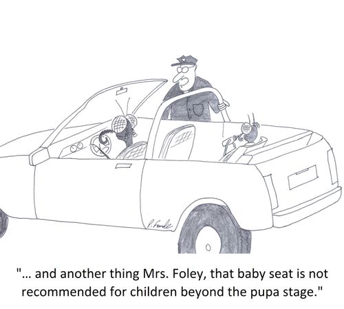 '… and another thing Mrs. Foley, that baby seat is not recommended for children beyond the pupa stage.'