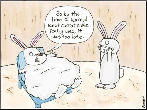 'So by the time I learned what carrot cake really was it was too late.'