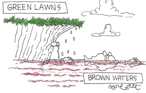 Green lawns,,,Brown waters,