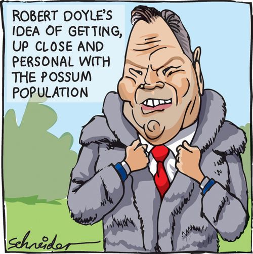 Robert Doyle's idea of getting up close and personal with the possum population.