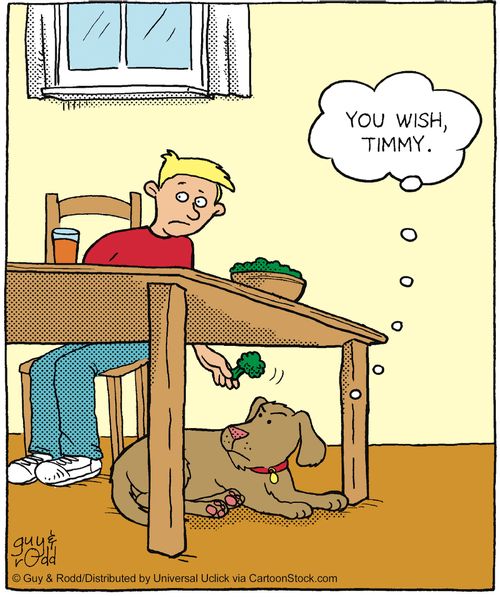'You wish, Timmy.'