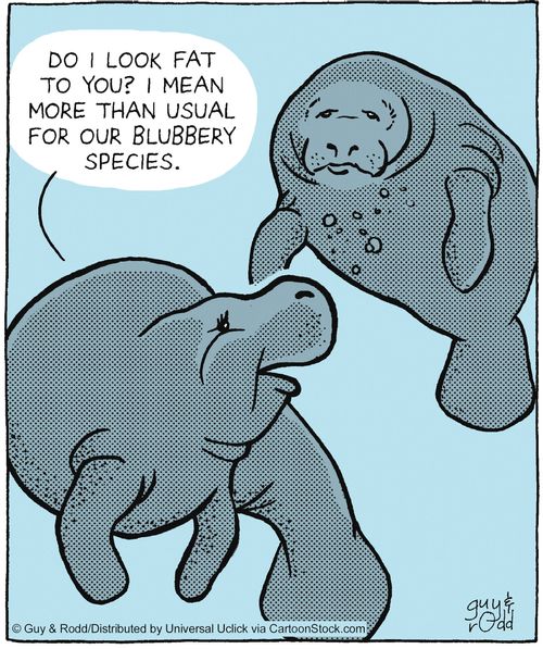 'Do I look fat to you? I mean more than usual for our blubbery species.'