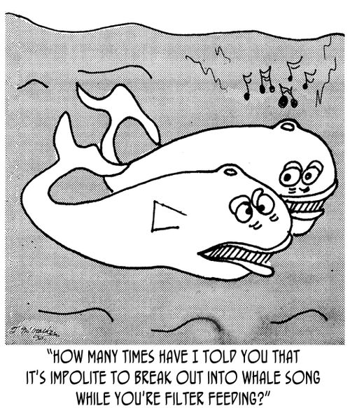 'How many times have I told you that it's impolite to break out into whale song while you're filter feeding?'