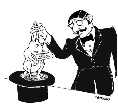 Magicians rabbit has a 'Warrant for Animal Cruelty'.