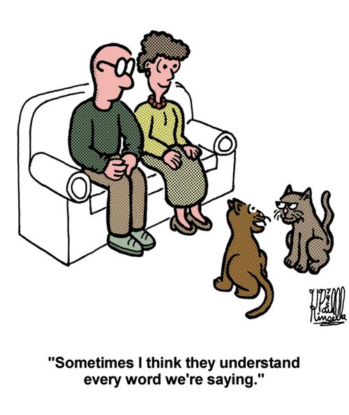 'Sometimes I think they understand every word we're saying.'