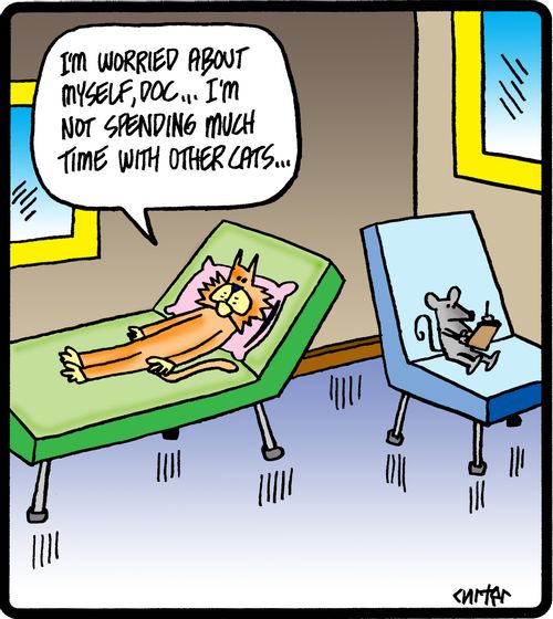 'I'm worried about myself, Doc...I'm not spending much time with other cats.'