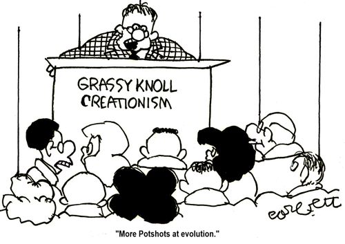Grassy Knoll Creationism: 'More potshots at evolution.'