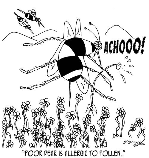'Poor dear is allergic to pollen.'