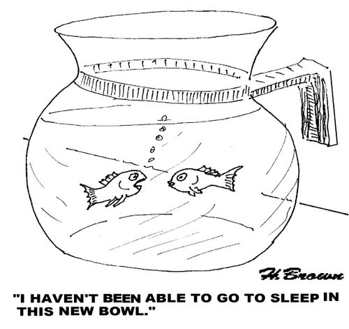 'I haven't been able to go to sleep in this new bowl.'
