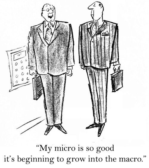 'My micro is so good it's beginning to grow into the macro.'