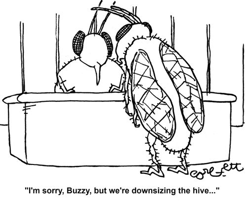'I'm sorry, Buzzy, but we're downsizing the hive...'