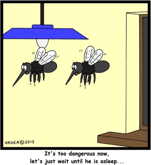 'It's too dangerous now, let's just wait until he is alseep...'