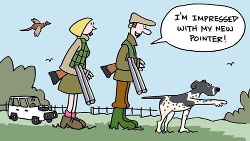 'I'm impressed with my new pointer.'