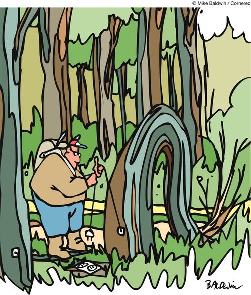 Wilderness unplugged.