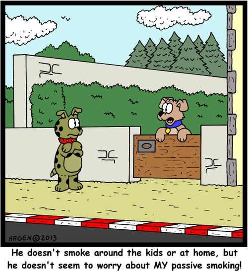 'He doesn't smoke around the kids or at home, but he doesn't seem to worry about MY passive smoking!'