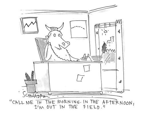 'Call me in the morning. In the afternoon, I'm out in the field.'