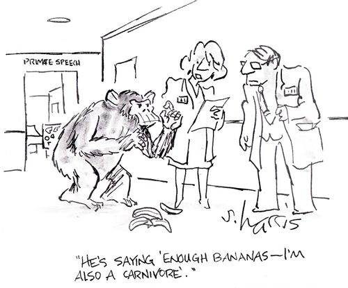 'He's saying 'Enough bananas -  I'm also a carnivore'.'