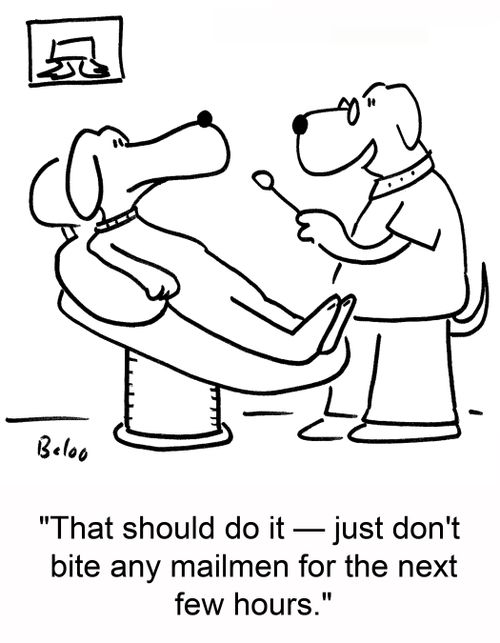 'That should do it -- just don't bite any mailmen for the next few hours.'