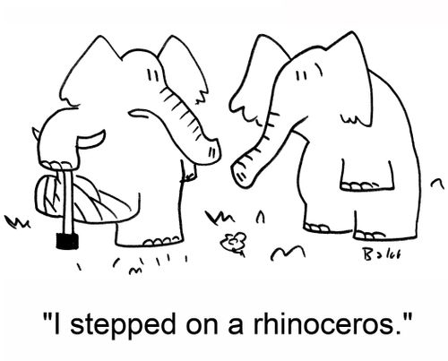 'I stepped on a rhinoceros.'