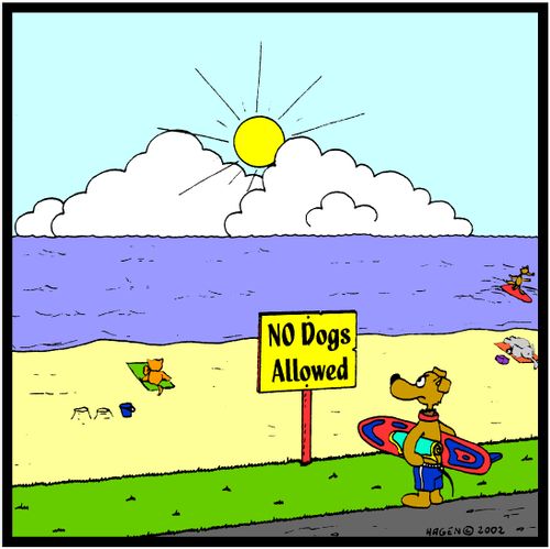 No dogs allowed (on beach).