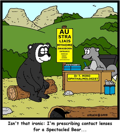 'Isn't that ironic: I'm prescribing contact lenses for a Spectacled Bear...'