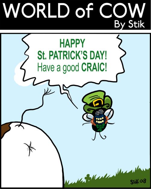 HAPPY ST.PATRICK'S DAY! Have a good CRAIC!