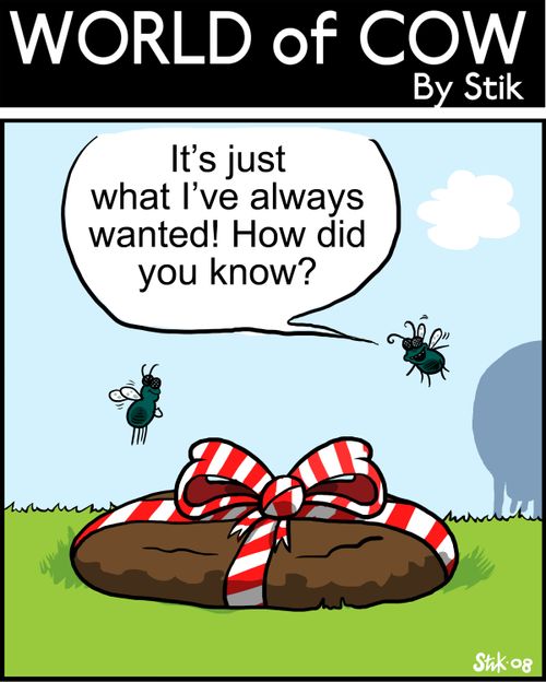It's just what I've always wanted! How did you know?