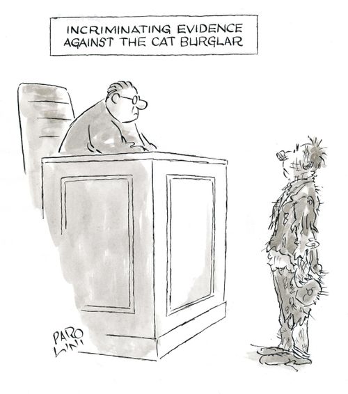 Incriminating Evidence Against the Cat Burglar.