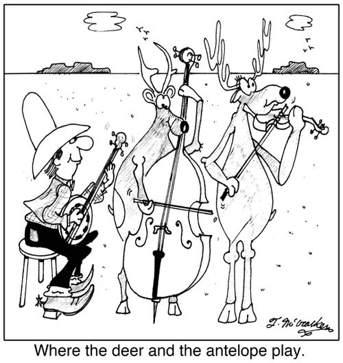 Where the deer and the antelope play.
