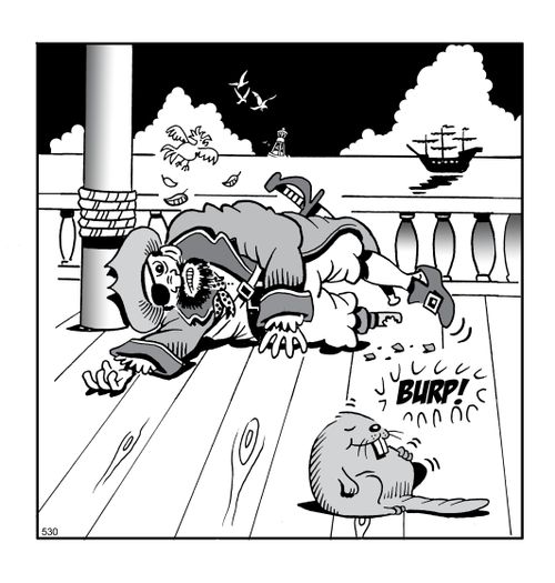 Beaver eaten pirate's leg.