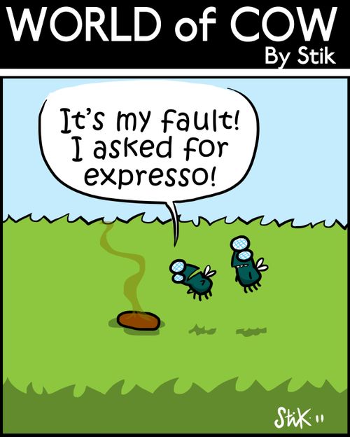 'It's my fault! I asked for expresso!'