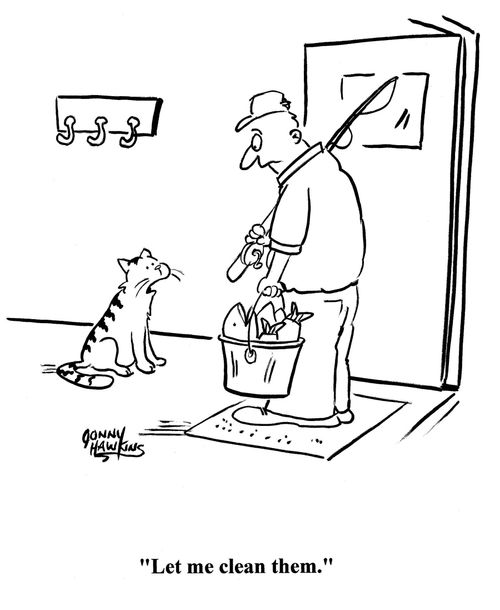 Cat to fisherman about his caught fish: 'Let me clean them.'