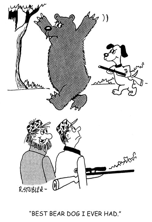 'Best bear dog I ever had.'