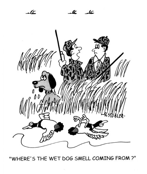 'Where's that wet dog smell coming from?