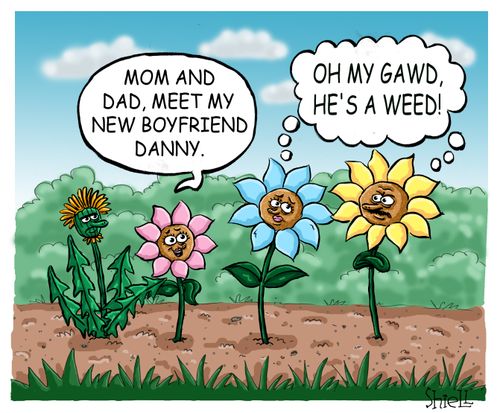 'Oh my Gawd! He's a weed!