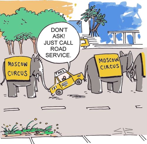 Elephant Taxi Emergency
